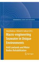 Macro-engineering Seawater in Unique Environments: Arid Lowlands and Water Bodies Rehabilitation(Environmental Science and Engineering)