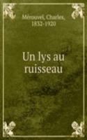 Un lys au ruisseau