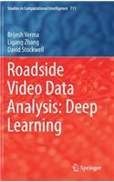Roadside Video Data Analysis