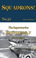 Supermarine Spitfire Mk V: The Norwegians