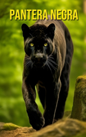 Pantera negra