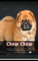 Chow Chow: Choose best dog breeds for you