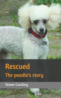 Rescued: The poodle's story