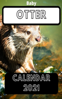 Baby Otter Calendar 2021