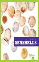 Seashells: (Find It in Nature!)