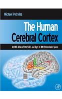 Human Cerebral Cortex