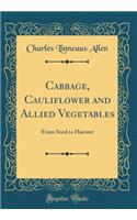 Cabbage, Cauliflower and Allied Vegetables: From Seed to Harvest (Classic Reprint)