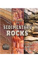 A Look at Sedimentary Rocks: (Rock Cycle)