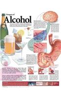 Dangers of Alcohol Anatomical Chart