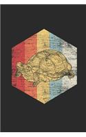 Turtle Polygon