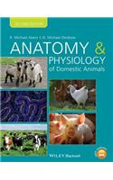 Anatomy Physiology Dom Animals