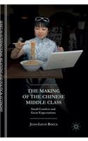 Making of the Chinese Middle Class: Small Comfort and Great Expectations