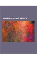Amphibians of Africa: African Bullfrog, African Clawed Frog, African Dwarf Frog, African Foam-Nest Tree Frog, African Red Toad, Amietia Amie