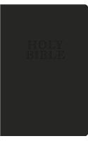 KJV, UltraSlim Bible, Imitation Leather, Dark Brown, Red Letter Edition: King James Version Cocoa Leathersoft Ultraslim Bible, Red-Letter Edition