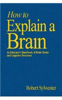 How to Explain a Brain