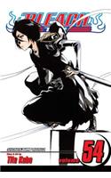 Bleach, Vol. 54