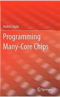 Programming Many-Core Chips