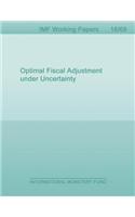 Optimal Fiscal Adjustment Under Uncertainty