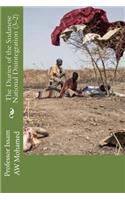The Diaries of the Sudanese National Disintegration (3-2)