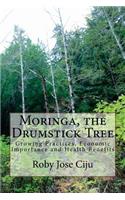 Moringa, the Drumstick Tree