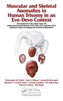 Muscular and Skeletal Anomalies in Human Trisomy in an Evo-Devo Context