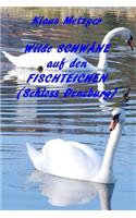 Wilde Schwane auf den Fischteichen (Schloss Derneburg): Bildband