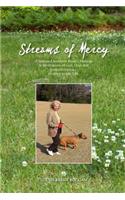Streams of Mercy