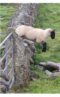 A Sheep Jumping Over a Stone Fence Journal: 150 Page Lined Notebook/Diary