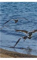 Seagulls at the Seaside Notebook