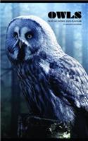Owls Note Monthly 2020 Planner 12 Month Calendar