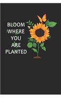 Bloom Where You Are Planted: Notebook A5 for Hippie Lover and member of the flower power and peace movement I A5 (6x9 inch.) I gift I 120 pages I square Grid I Squared