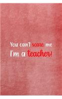 You Can't Scare Me I'm A Teacher
