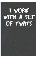 I Work With A Set of Twats: Lined Notebook /Journal 120 Pages 6" x 9". Funny / Huomer Birthday Quote. Birthday gift for a anyone close to you