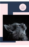 I love cats