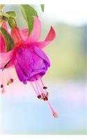 Fuchsia Notebook