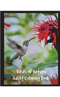 Birds of Nature Adult Coloring Book