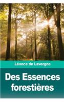 Des Essences forestières