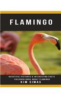Flamingo: Beautiful Pictures & Interesting Facts Children Book about Flamingo