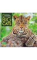 National Geographic Big Cats 2018 Wall Calendar