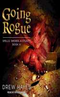 Going Rogue: (3 Spells, Swords, & Stealth)