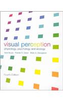 Visual Perception