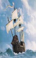 Mary Rose