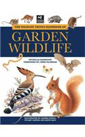 Wildlife Trusts Handbook of Garden Wildlife