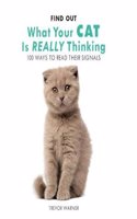 Find Out What Your Cat is Really Thinking