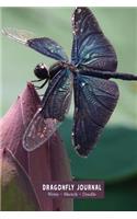Dragonfly Journal: Write Sketch Doodle