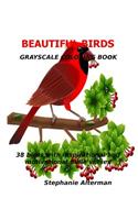 Beautiful Birds