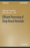 Efficient Processing of Deep Neural Networks: (Synthesis Lectures on Computer Architecture)