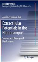 Extracellular Potentials in the Hippocampus