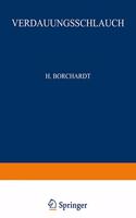 Rachen und Tonsillen, Speiserohre, Magen und Darm, Bauchfell