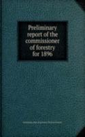 PRELIMINARY REPORT OF THE COMMISSIONER